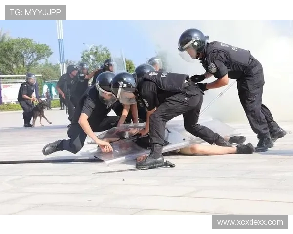 武汉滑板队如何通过战术创新实现进攻模式的全面升级与突破