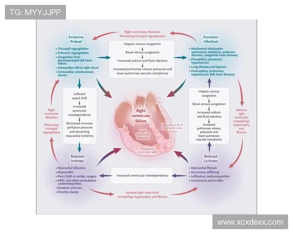 武汉羽毛球队技术解析：从基础训练到比赛策略的全面探讨